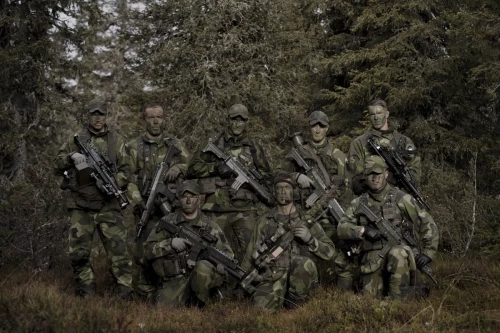 Swedens armed forces