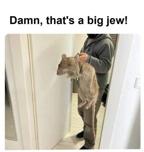 Big jew